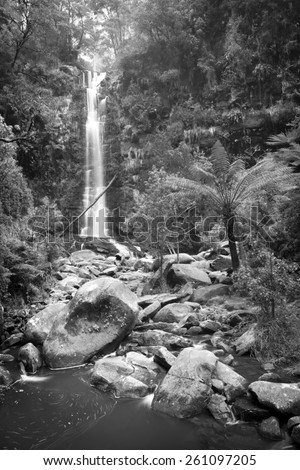 Erskine Falls waterfall in the Otways National Park along the Great Ocean Road, Australia in black and white