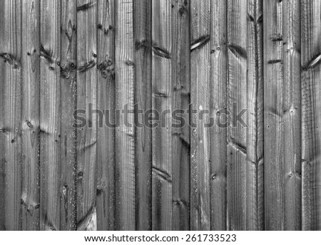 New wood fence in treated pine panels in black and white