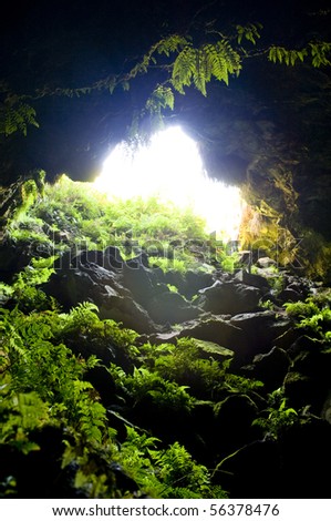 Dark entrance to natural caves with lush jungle greenery