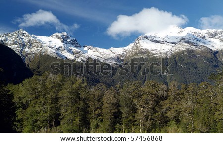 Snow capped peaks with dense forest