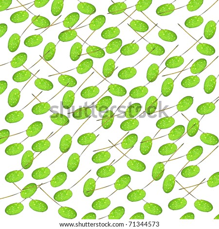 lily pad pattern/template - ProTeacher Community