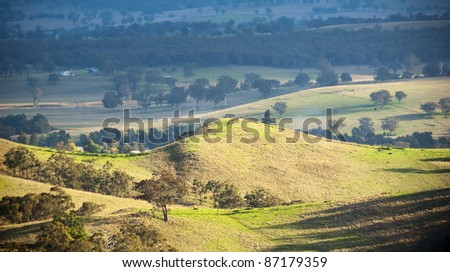 Rolling green hills with trees at sunset form a classic Australian scene