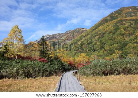 Autumn landscape in the mountain, wooden walk way in bog
