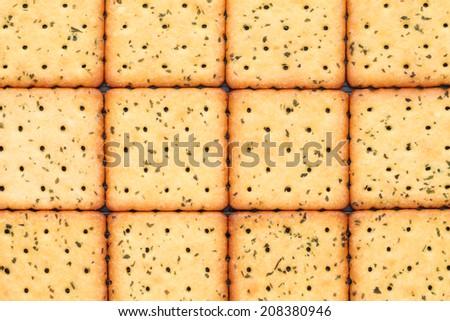 Vegetable salty crackers background