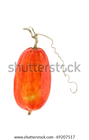 Red Gourd