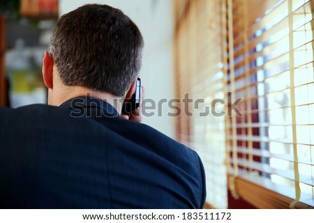 Back view portrait of a businessman talking on the phone at office