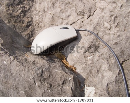 Travel of the computer mouse to mountains