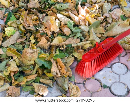Cleaning of fallen autumn leaves in a court yard