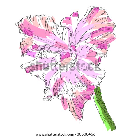 Gladiolus Flower Isolated On A White Background. Stock Vector