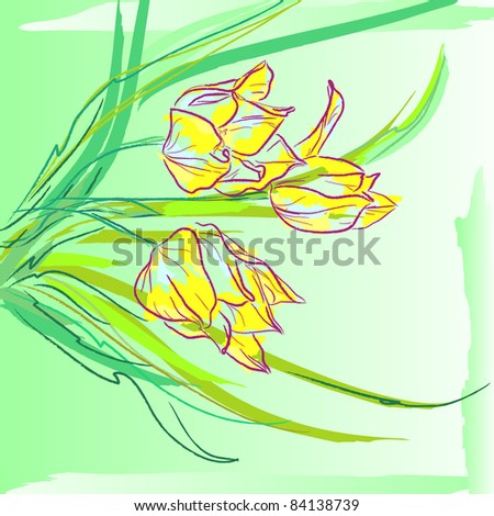 Flowers tulips with leaves. Floral background, greeting card.