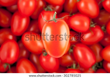 one cherry tomato with other tomatoes in the background