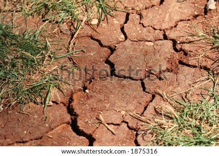 Cracked, parched land after a drought