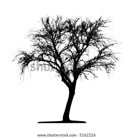 Tree (Vector) - 3162226 : Shutterstock
