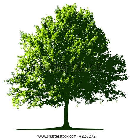 Tree  on Tree  Vector    4226272   Shutterstock