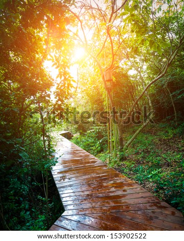 wood stair way on green garden