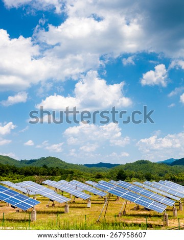 Solar panels in the sunset
