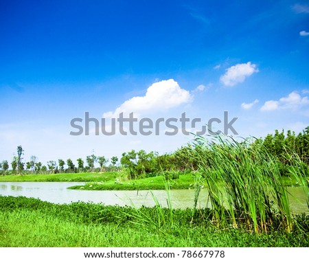 The review with pure water, the pure sky, a reed