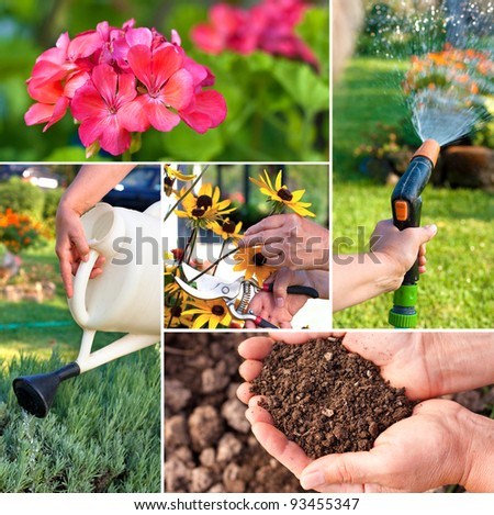 Gardening theme or collage.Representin g fertility and growing plants Gardening theme or collage.Representin g fertility and growing plants