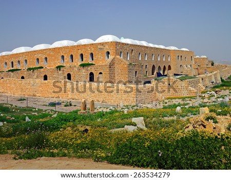 Nabi Musa ,Tomb of Prophet Moses . Israel .