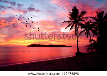 sunset with birds at rebak island, Langkawi, Malaysia