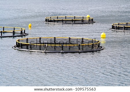 Round net for aqua farming fish industry