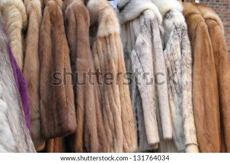 Real genuine animal fur coats and jackets