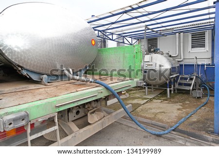 Unloading raw milk from tanker in dairy factory