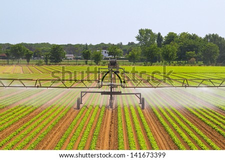 Green agriculture field with water irrigation system