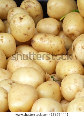 Big bunch of yellow potatoes at market