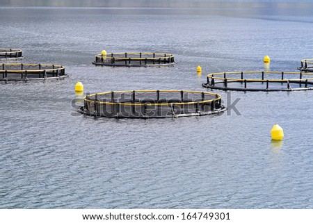 Fish farming cages and nets in Adriatic sea