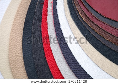 Leather swatch in various colors for furniture industry