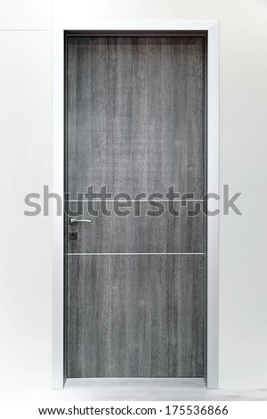 Plane silver panel door in home interior