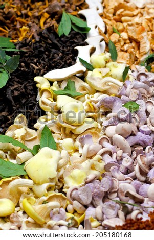 Big assortment of freshly grown mushrooms sold on market