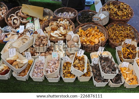 Edible mushrooms variety at farmers market stall