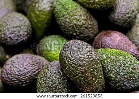 Big bunch of avocados at farmer market