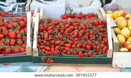 Cherry Tomato on the Vine in Crate