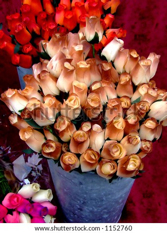 Buckets of dozens of roses in brown color on a table