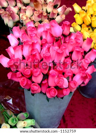 Buckets of dozens of roses in pink color on a table