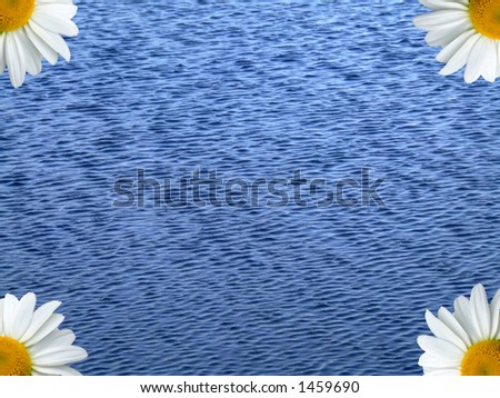 Corners of chamomiles on blue water background