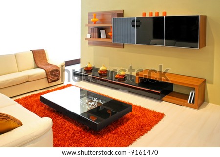 Modern living room with wooden shelves and details