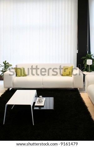 Living room with white sofa and black carpet