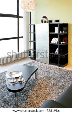 Modern living room with wooden shelf and details