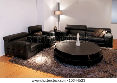 Modern black living room with two sofas
