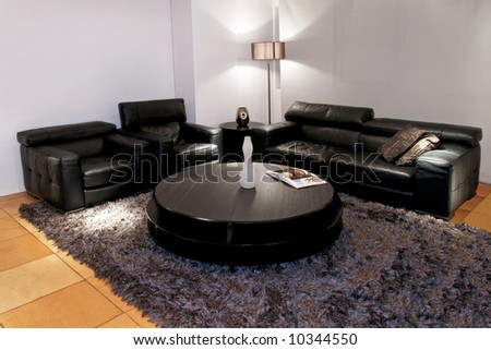 Modern black living room with two sofas
