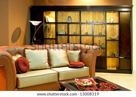 Classics style living room with big shelf and sofa
