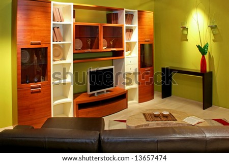 Green living room with big shelf for TV