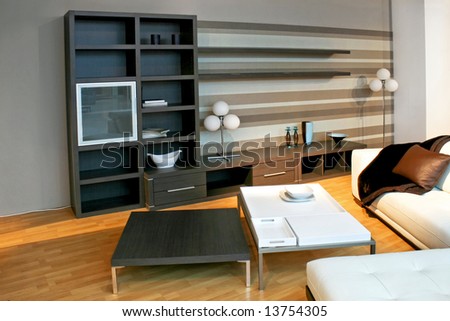 Living room with big shelf and rack