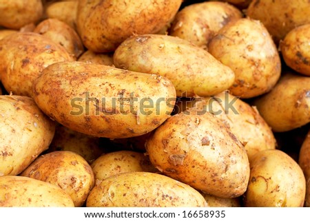 Bunch of big sweet potatoes on the market
