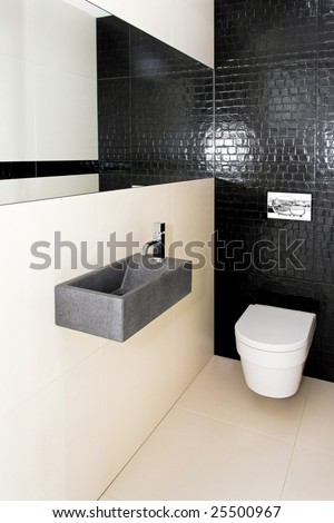 Interior shot of very small contemporary toilet