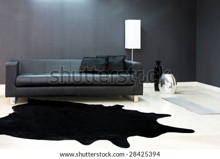 Interior of dark living room with black sofa